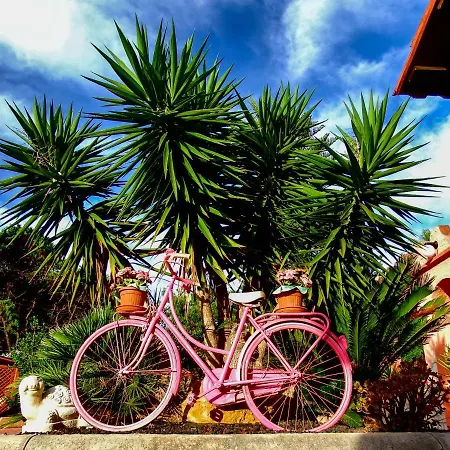 Bed & Breakfast B&B Cala Dolce